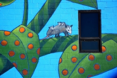 Upper Mural Possums