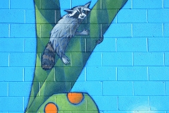 Upper Mural Raccoon